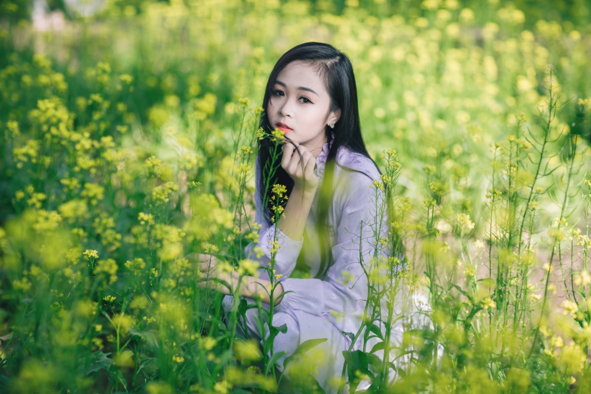Canola flower beautiful beauty 5K wall