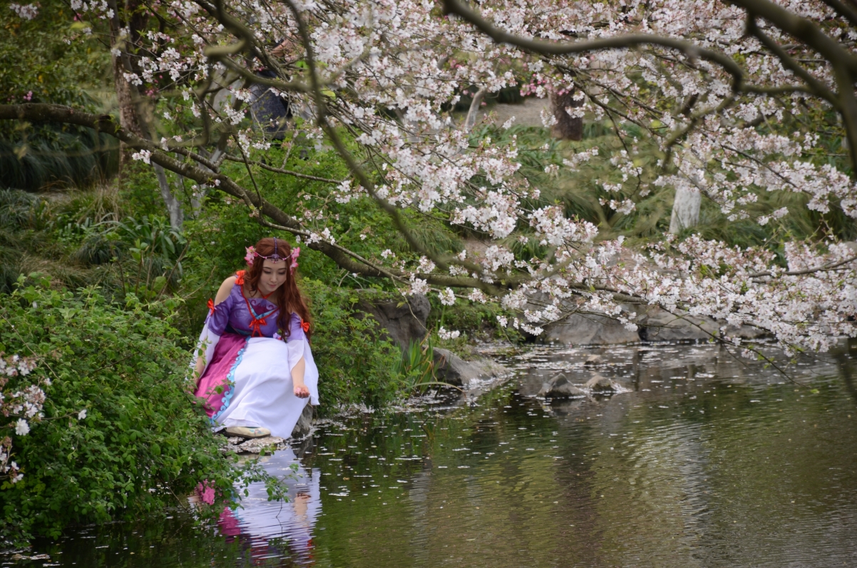 Young woman in cherry blossom pond