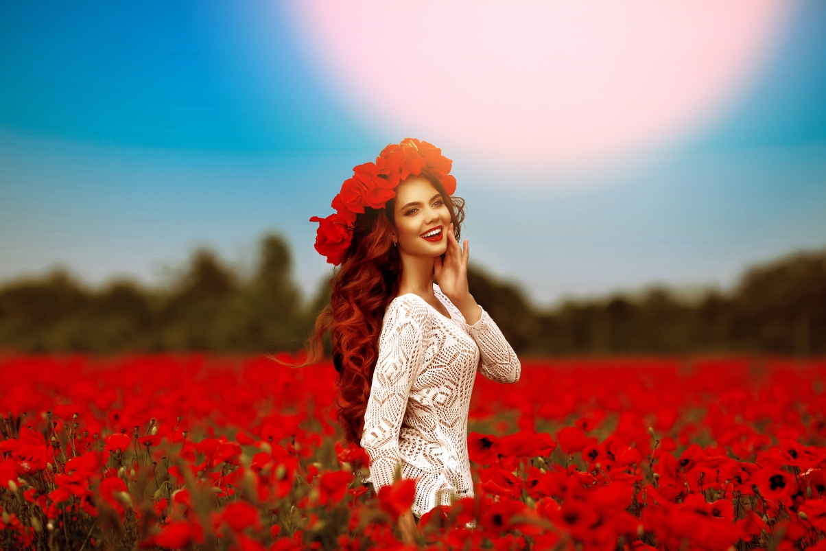Poppy flower beauty 5K picture