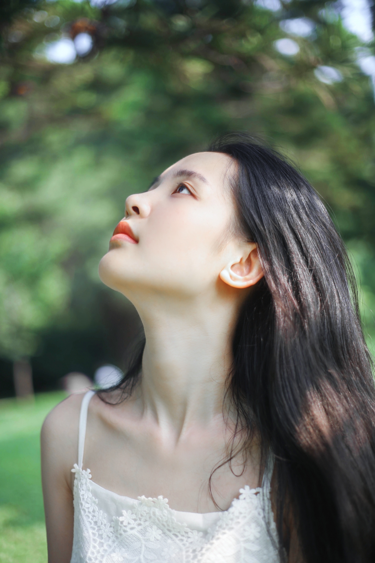 4K wall of pure beauty looking up at the sky
