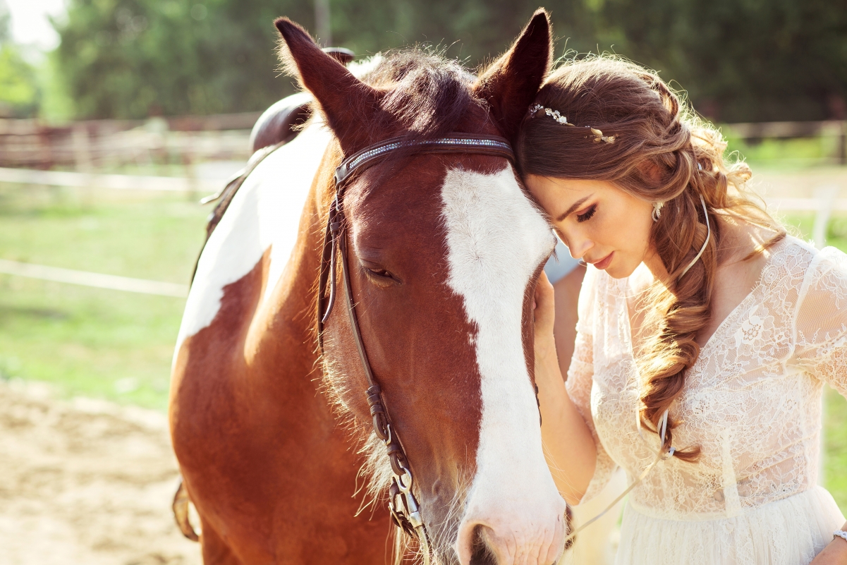 Summer girl and horse 4K wallpaper