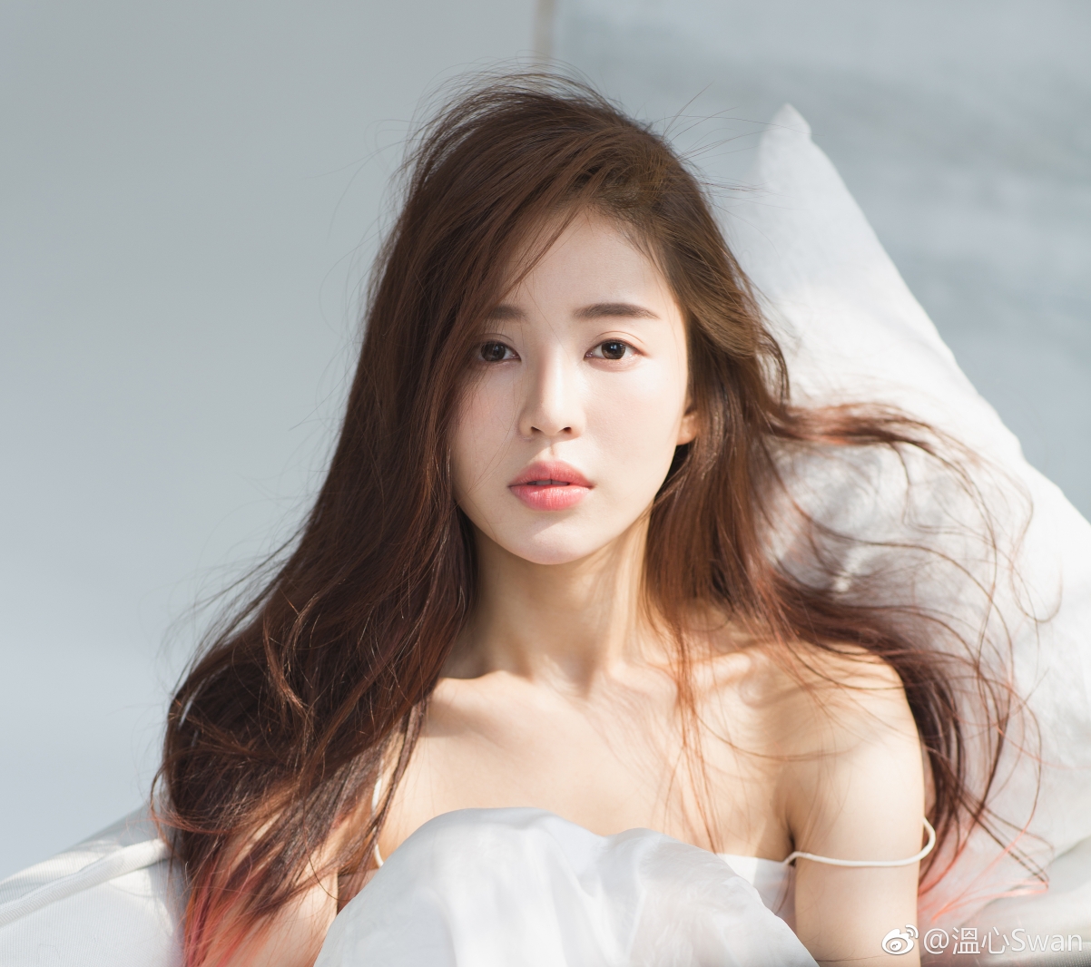 Wenxin swan home photo 4K wallpaper