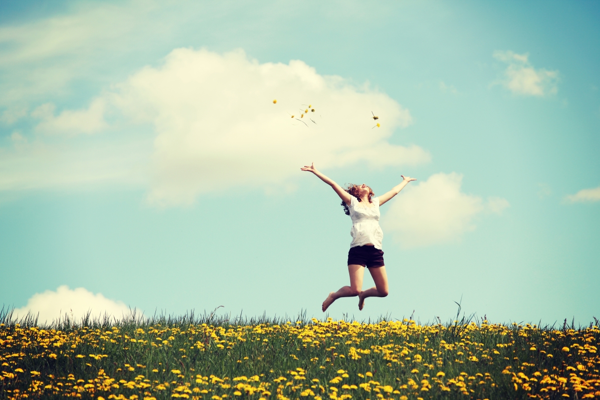 The beauty of sky meadow flowers jumping