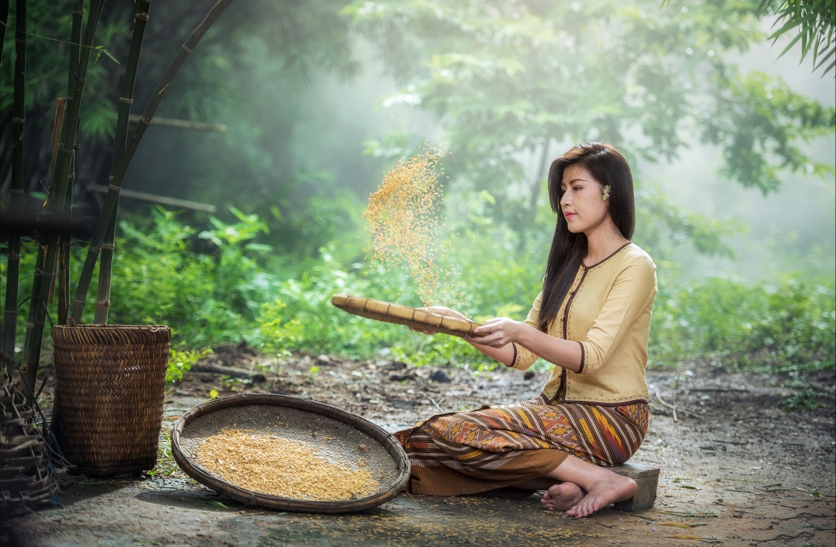 Mountain village, bamboo, bamboo basket, beautiful beauty