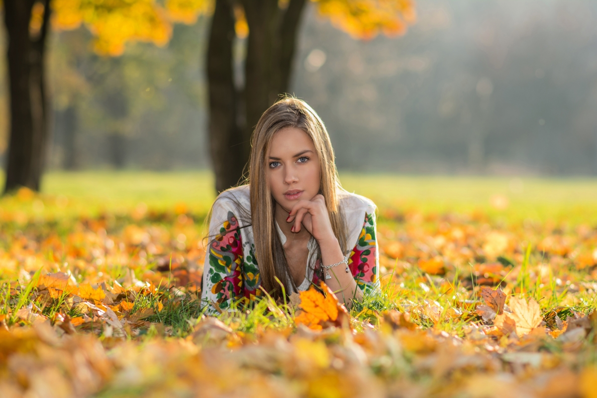 Autumn tree leaves beauty photography 4