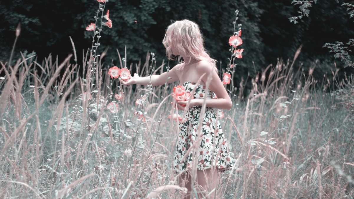 Girl Collecting Flowers 4K Beautiful Wallpaper