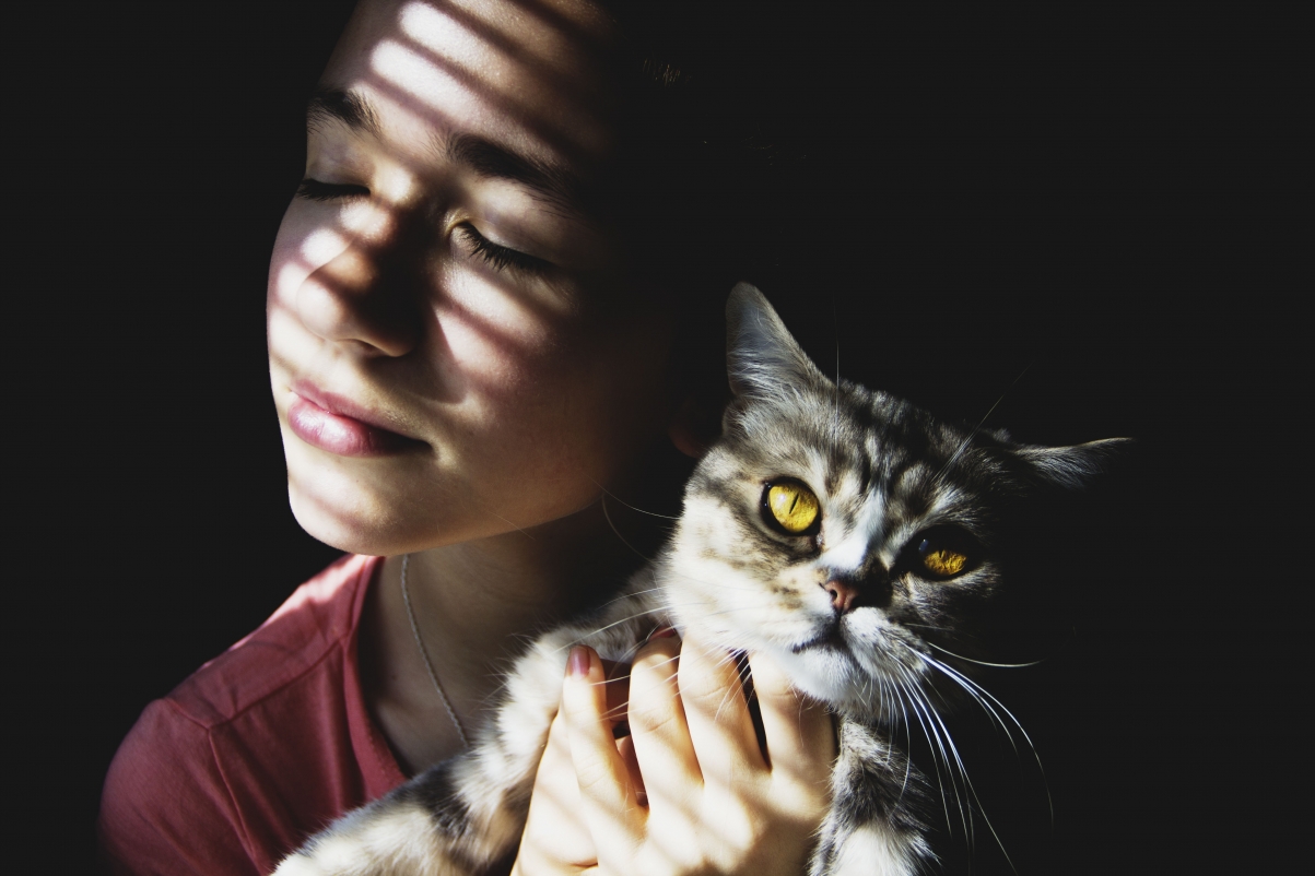 Girl and cat photography 5k pictures