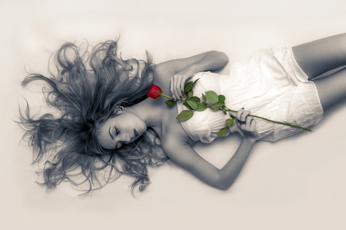 Sexy girl holding a rose HD