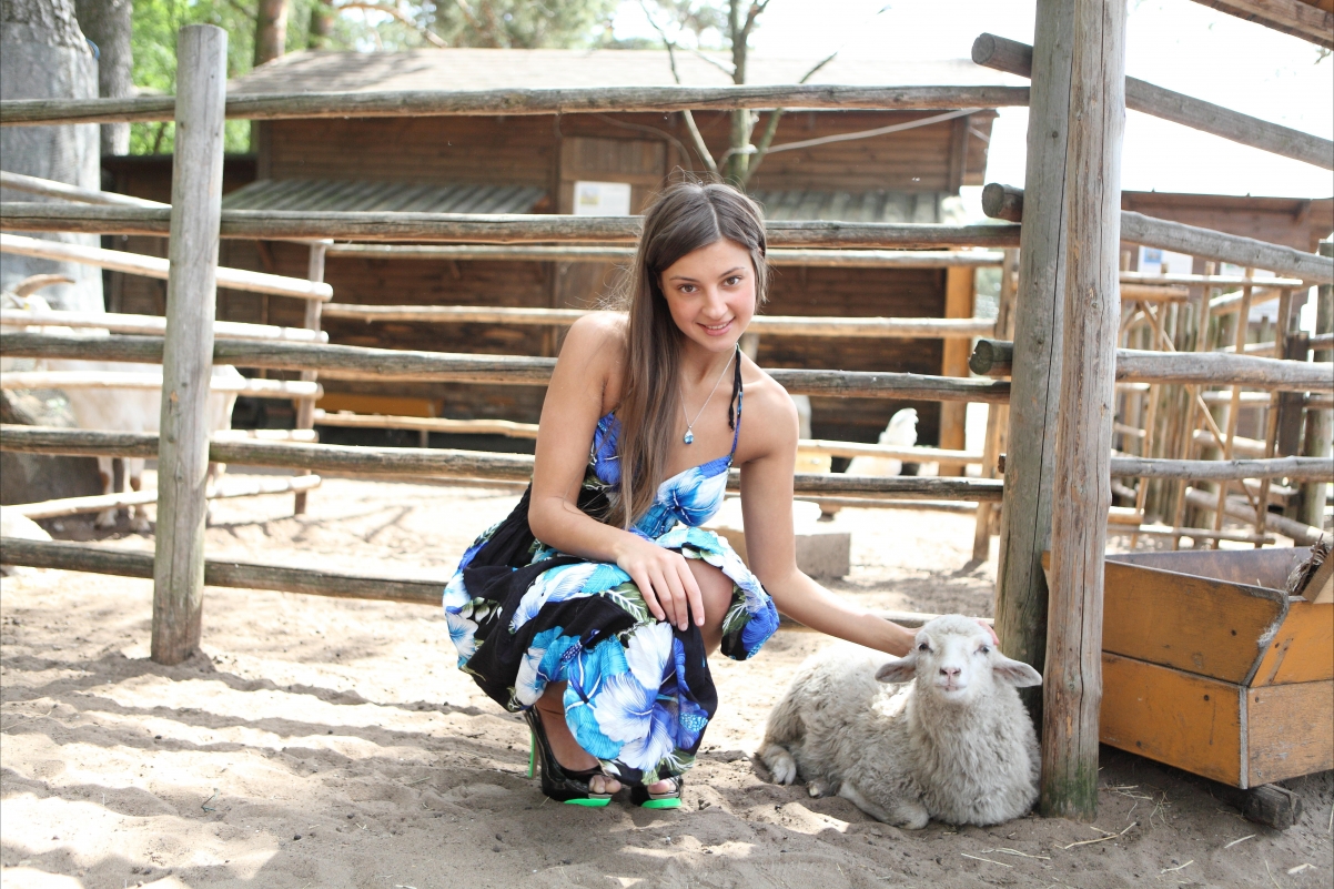 Ranch house beauty little sheep