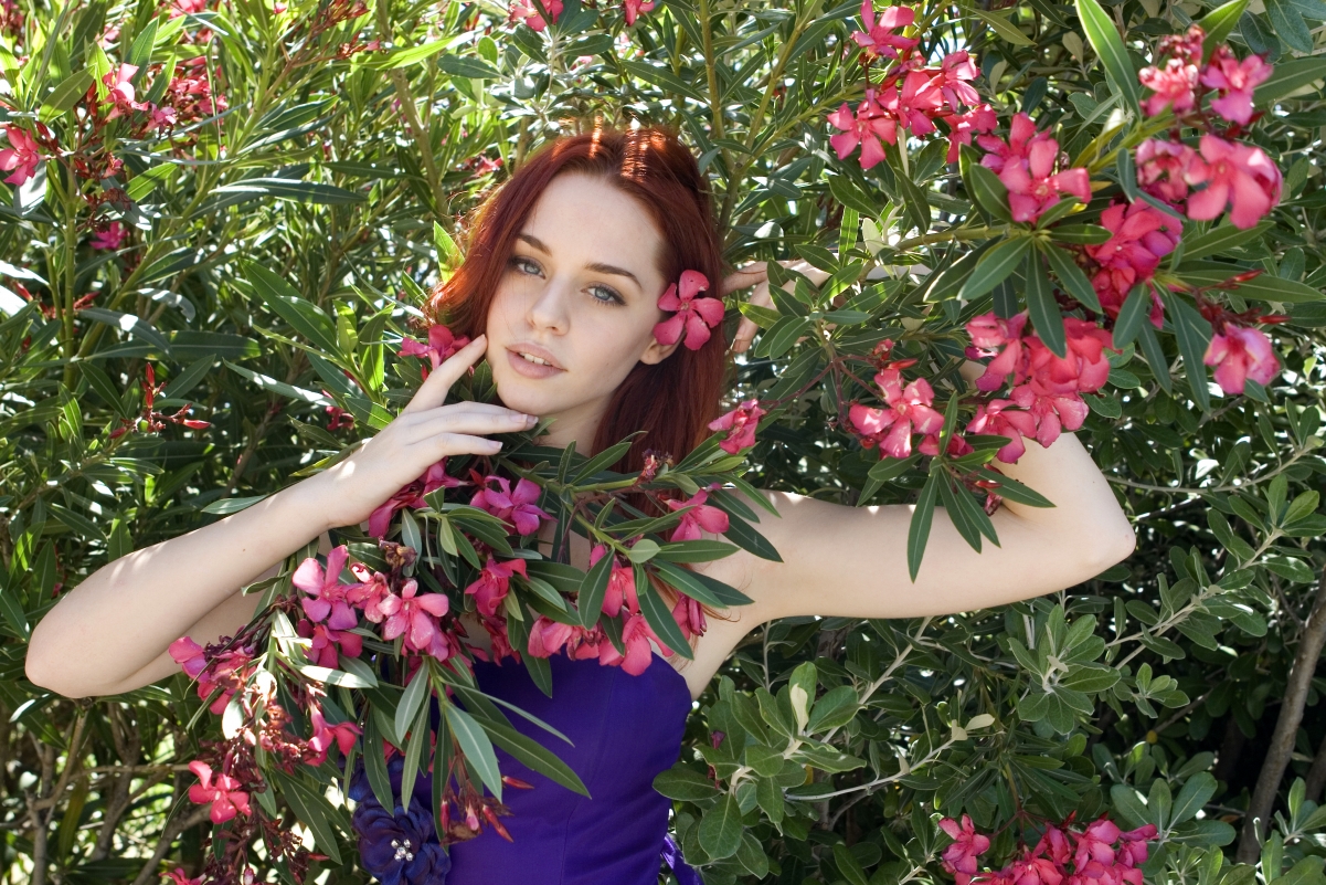Beautiful Flower Tree 4K Wallpaper