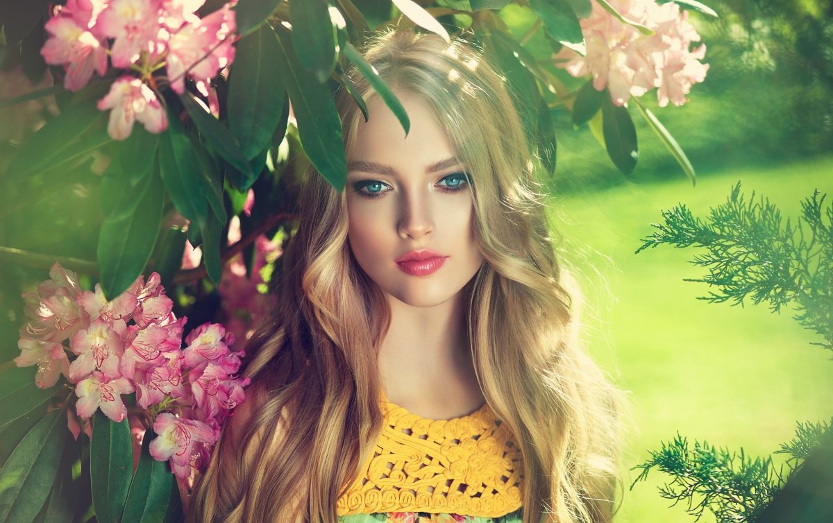 Beautiful princess rose garden outdoor