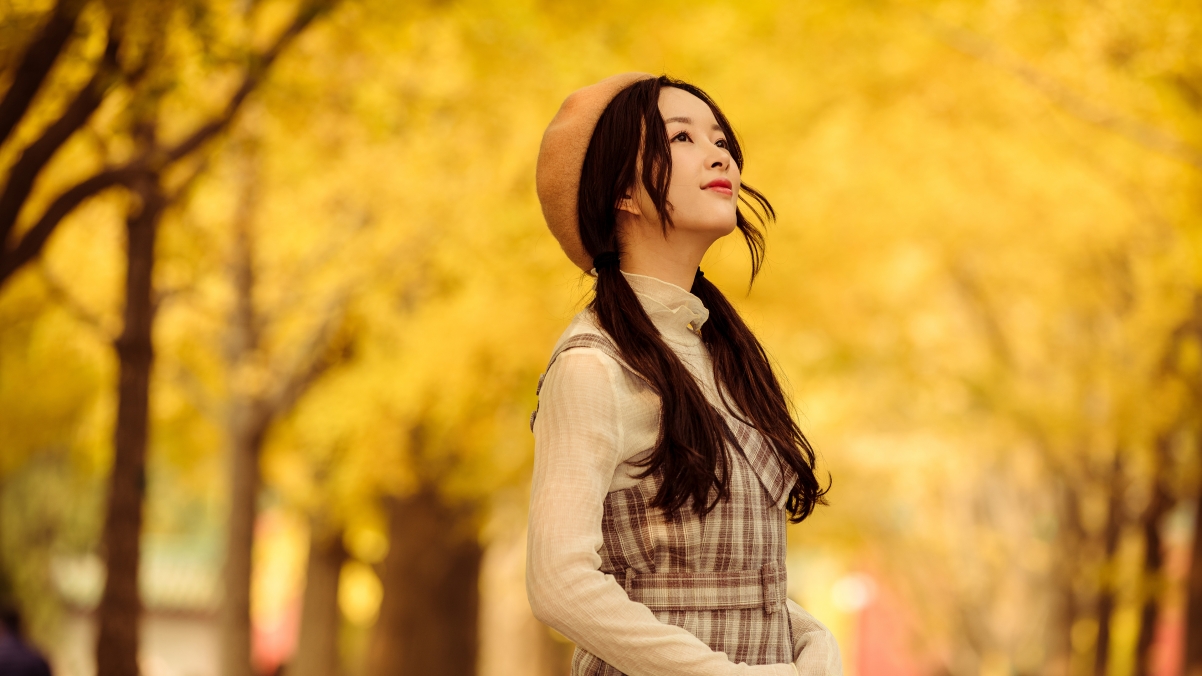 Beautiful Autumn Forest Beauty 4k Wallpaper
