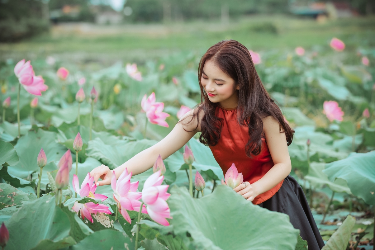 Cute and beautiful lotus 5k wallpaper