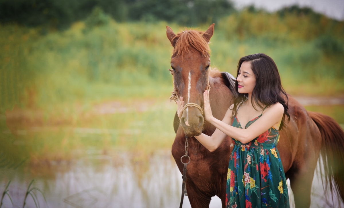 The horse by the river wears a beautiful dress