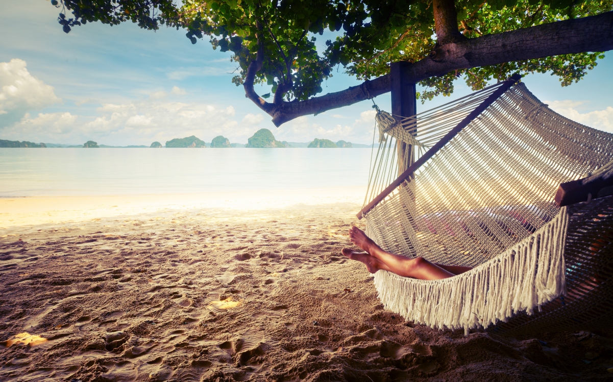 Beach tree hammock rest relax