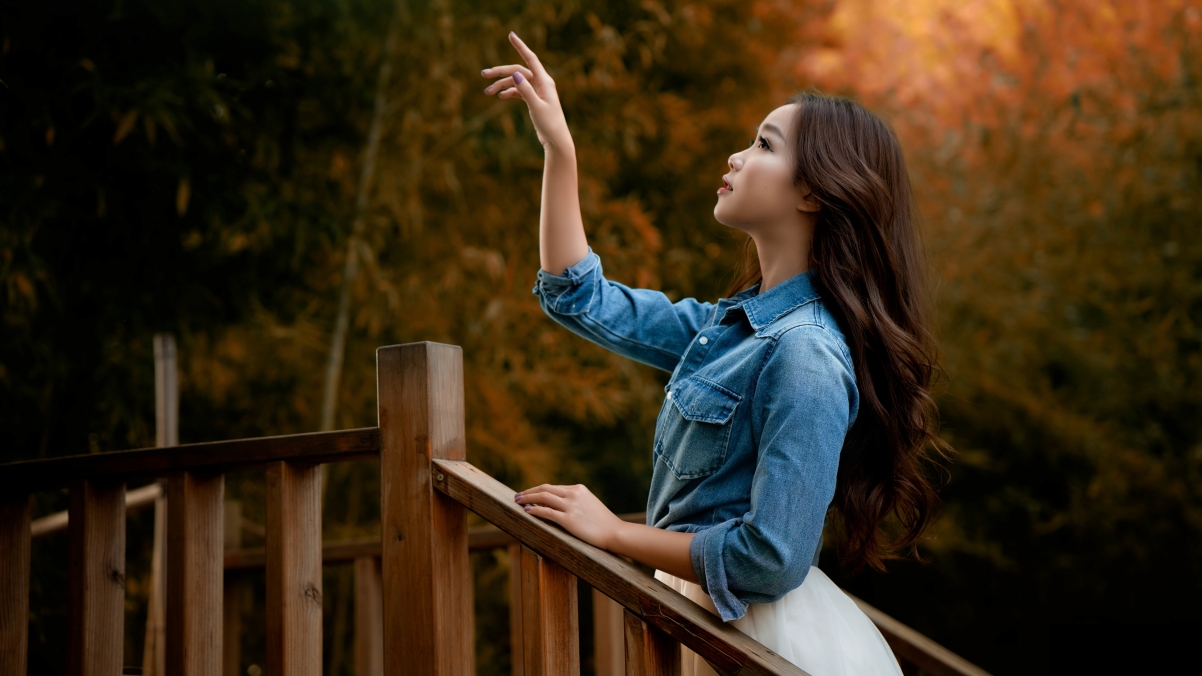 Park walkway wooden fence beauty wind
