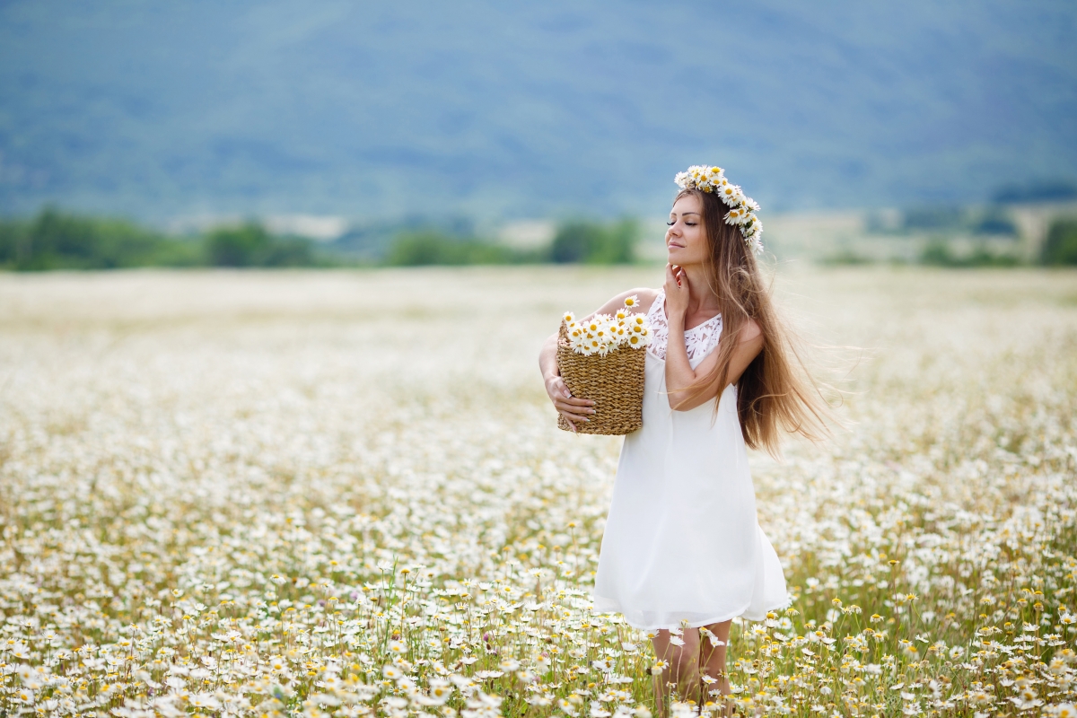 Camomile flower beauty basket wreath