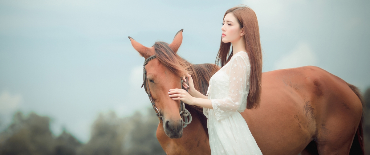 The girl in a white dress and horse 3440