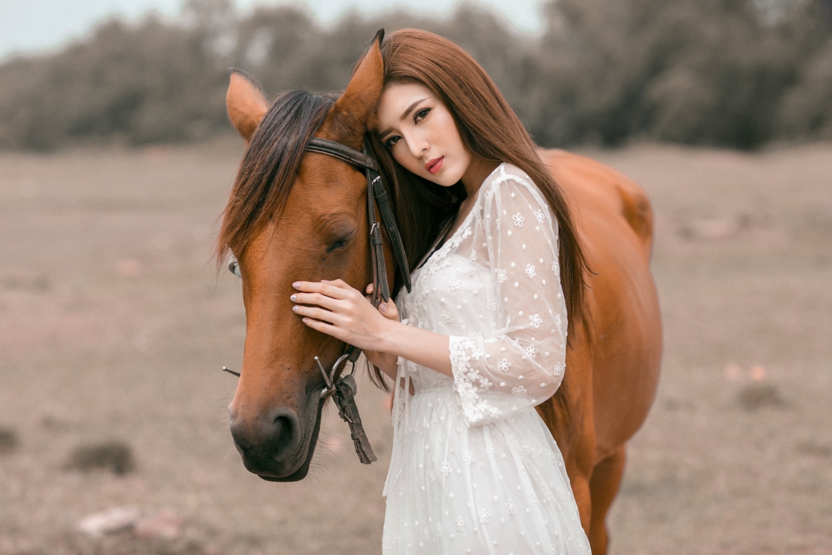 Beauty in white dress and horse 5k wall