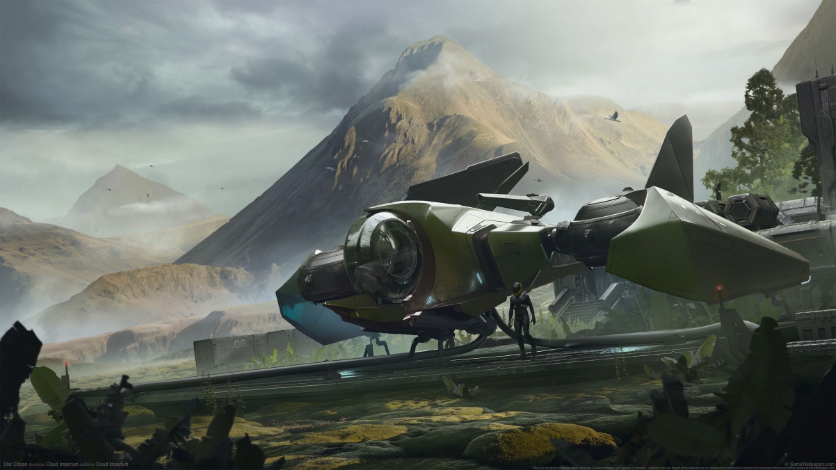 Star Citizen Fighter 4k game wall