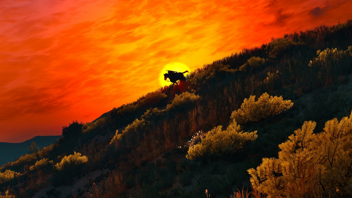 The Witcher 3, wild hunt, rider, game
