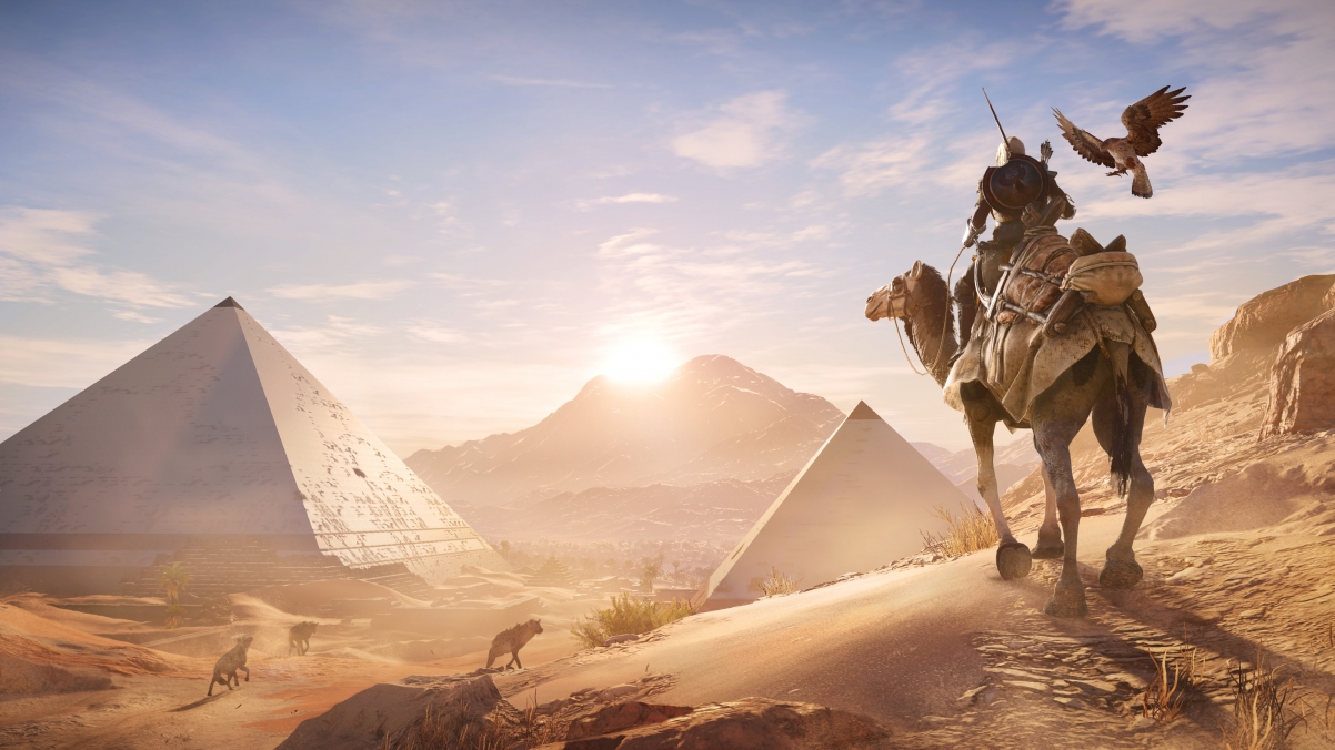 Desert, egypt, birds, pyramids, camels