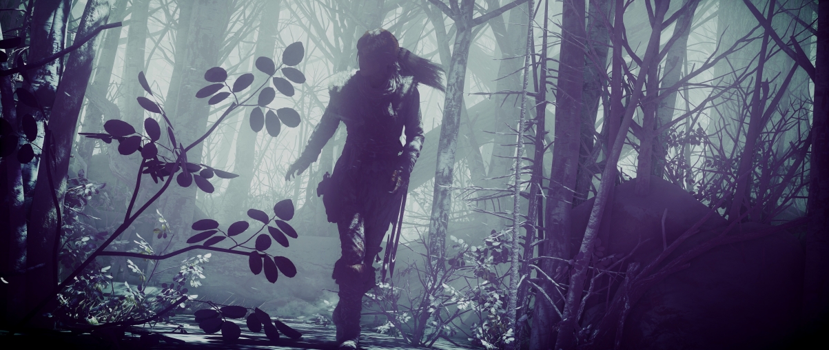 Rising tomb raider, girl, sen