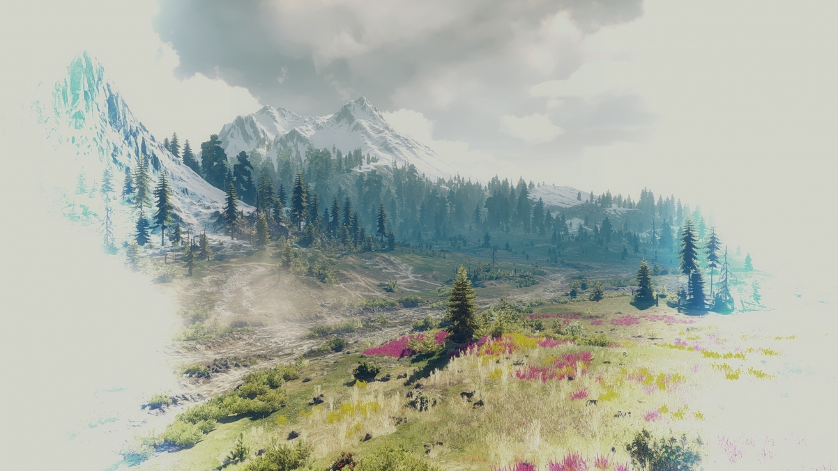 The Witcher 3: Wild Hunt (The Witch