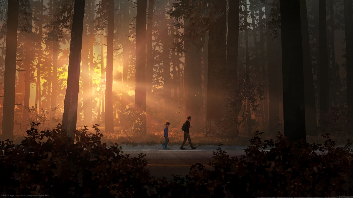 Life is Strange 2 Life is St