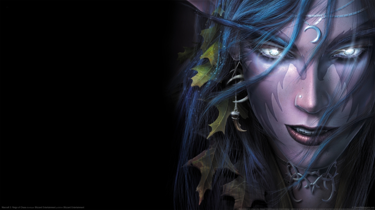 Warcraft 3 Warcraft 3