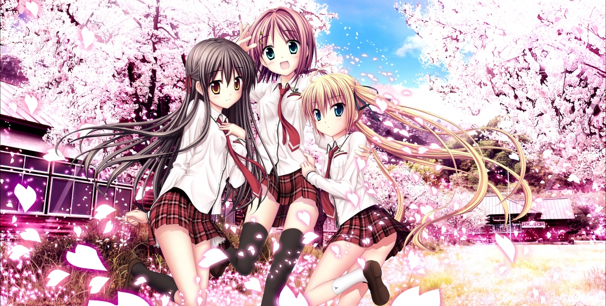 Sakura Girl Three Sisters 4K Wallpaper