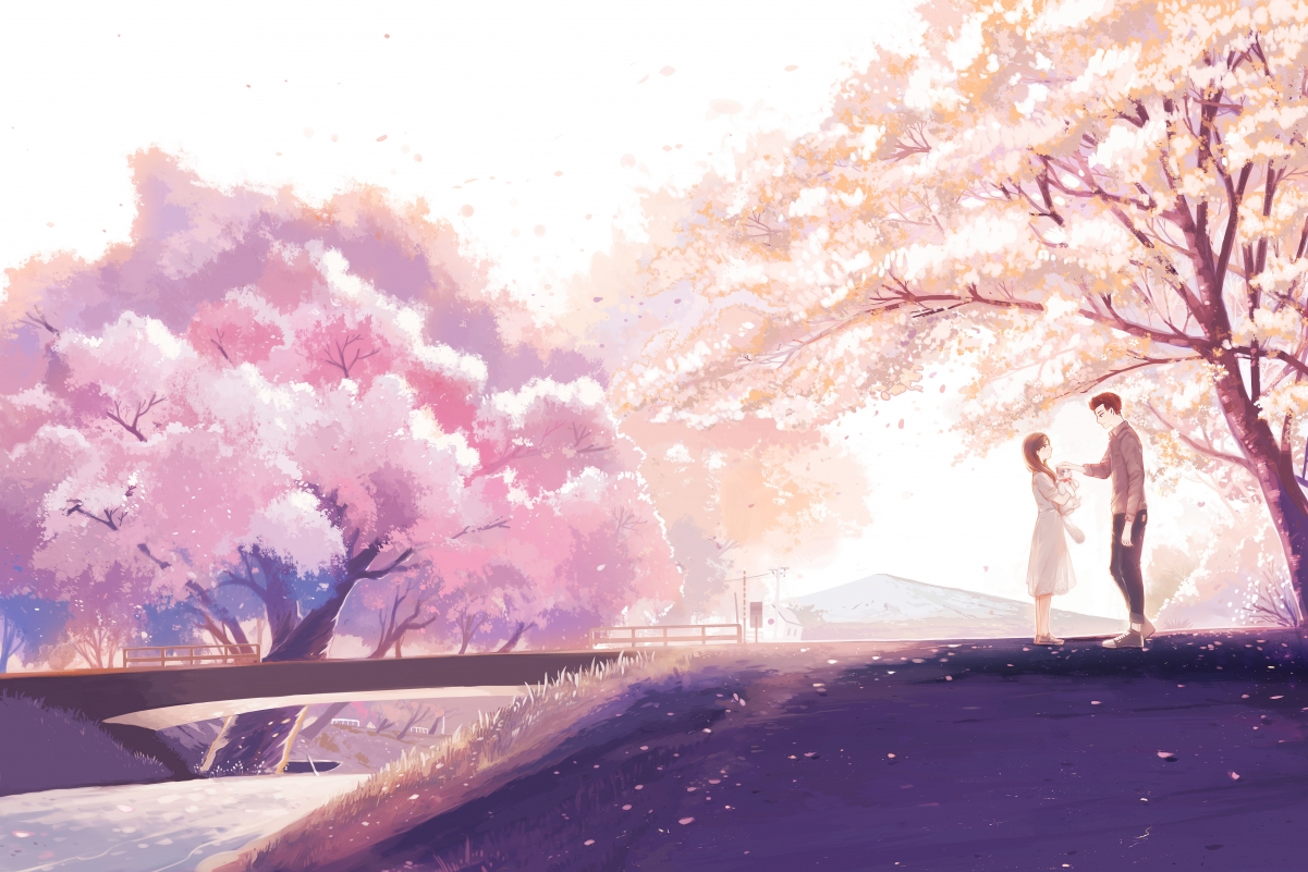 Cherry blossom scenery girl cat boy