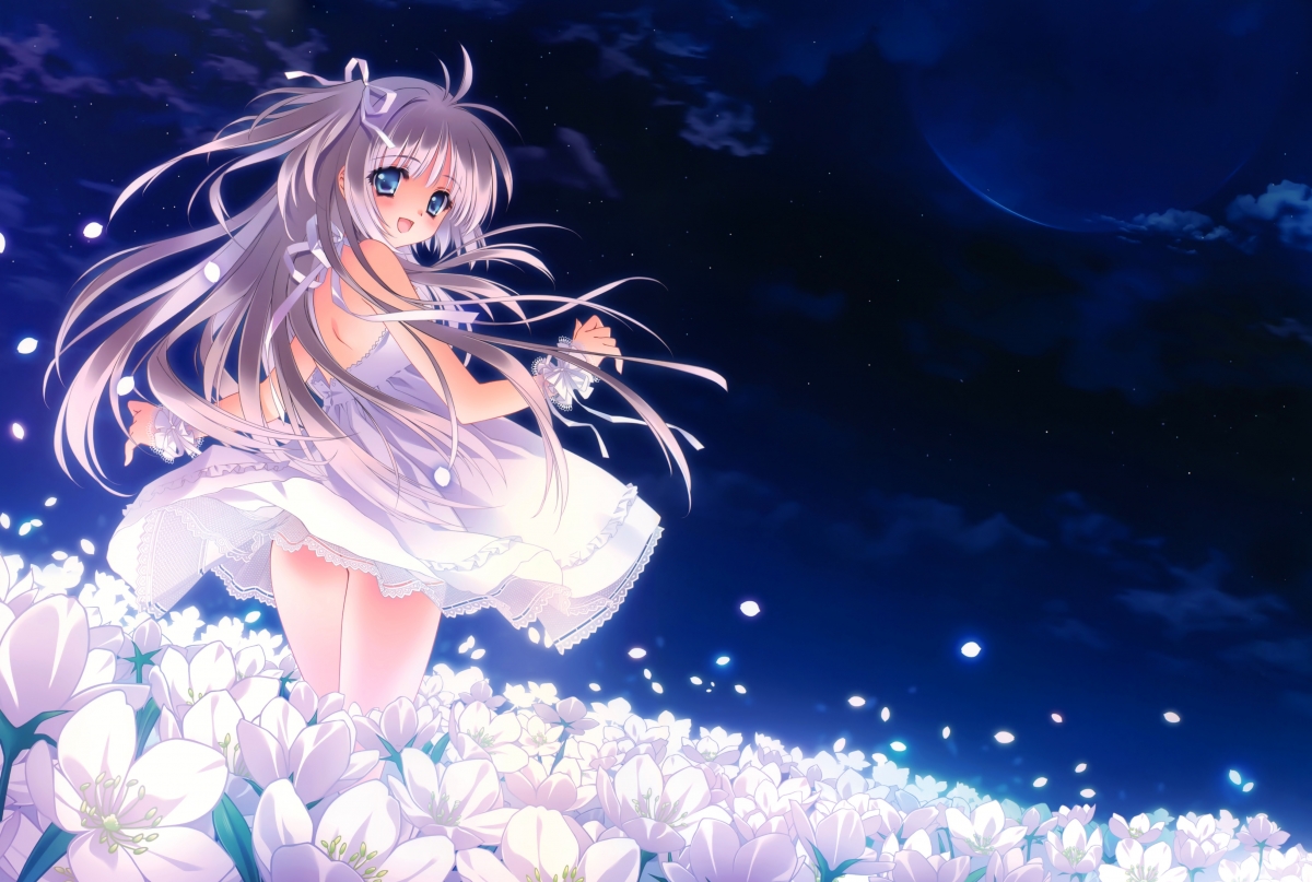 Night, sky, moon, stars, flowers