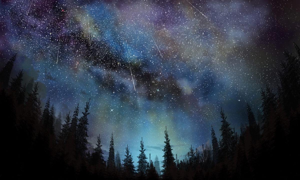Starry sky starry night meteor forest star