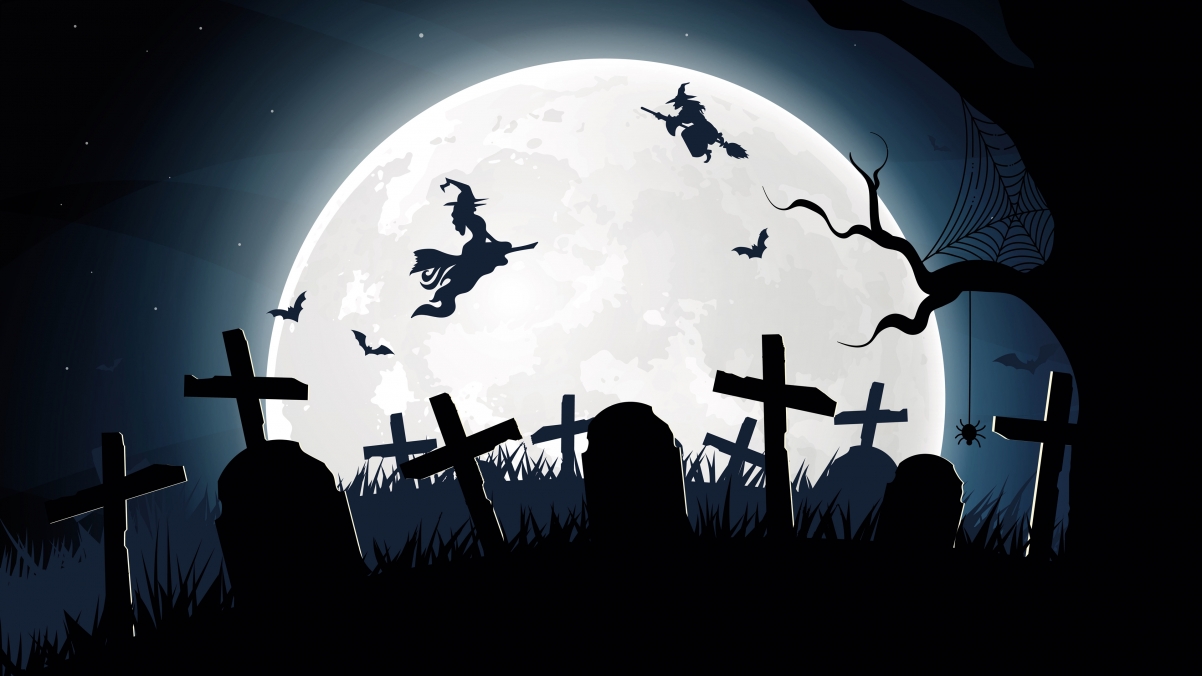 Halloween witch 4k wallpaper