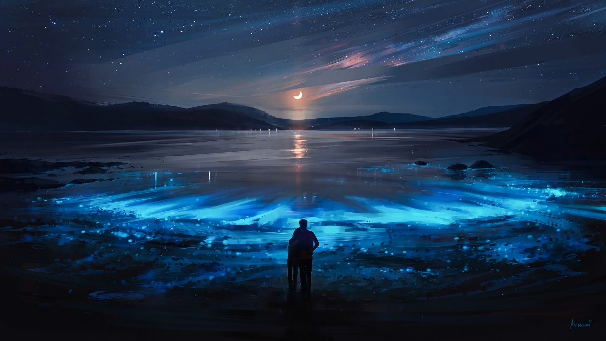 Romantic lovers at night stars moon
