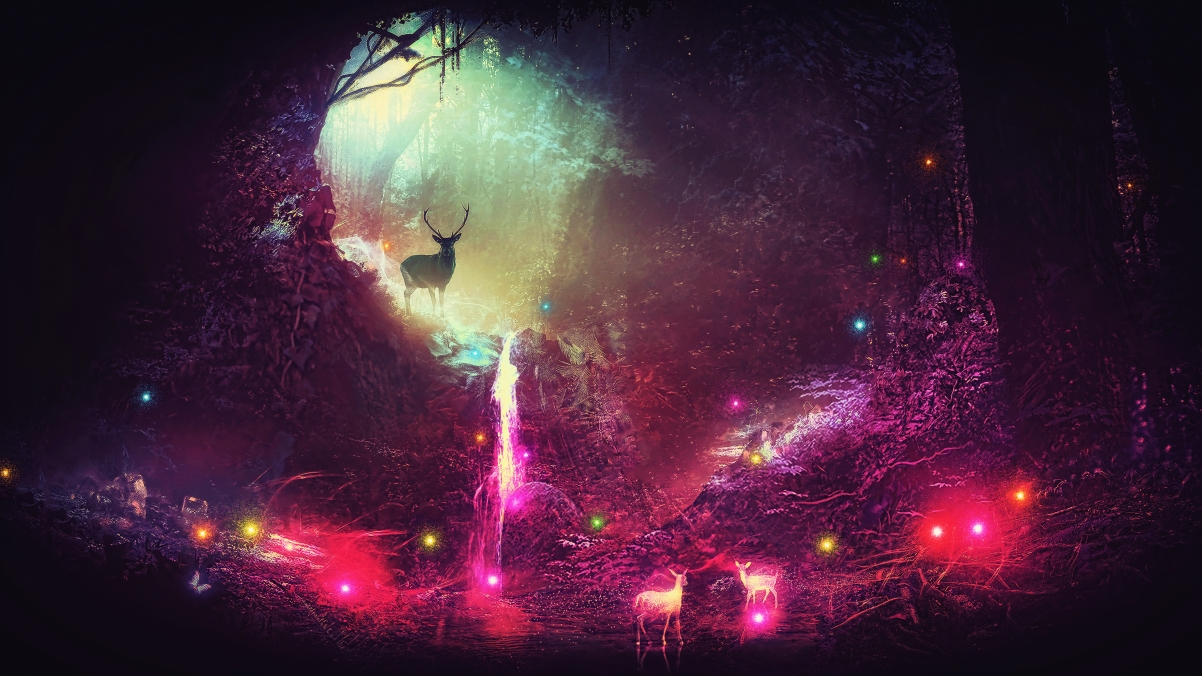 Night forest tree creek waterfall
