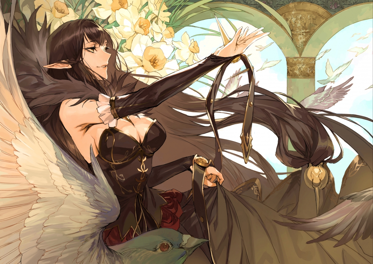 Angel black feather skirt bird
