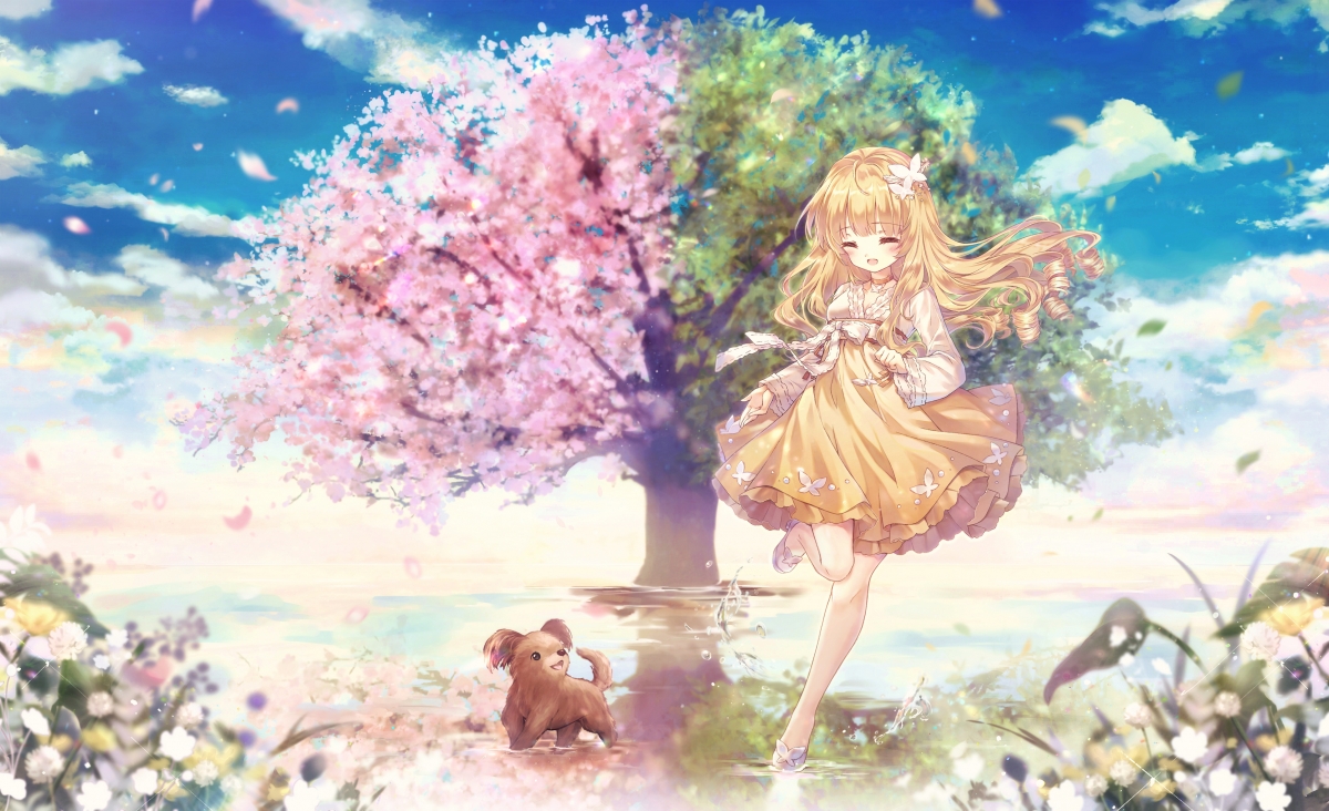 Sky petals pink green tree