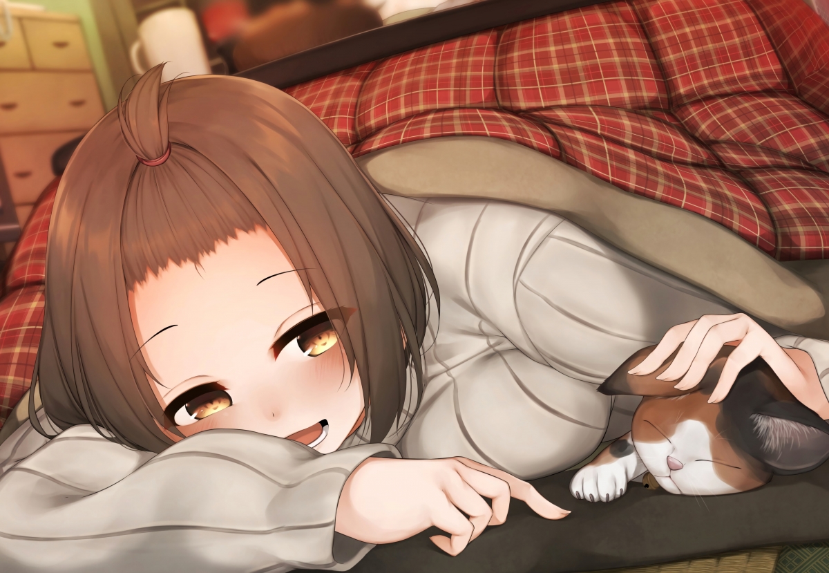 Girl and cat 6k anime pictures