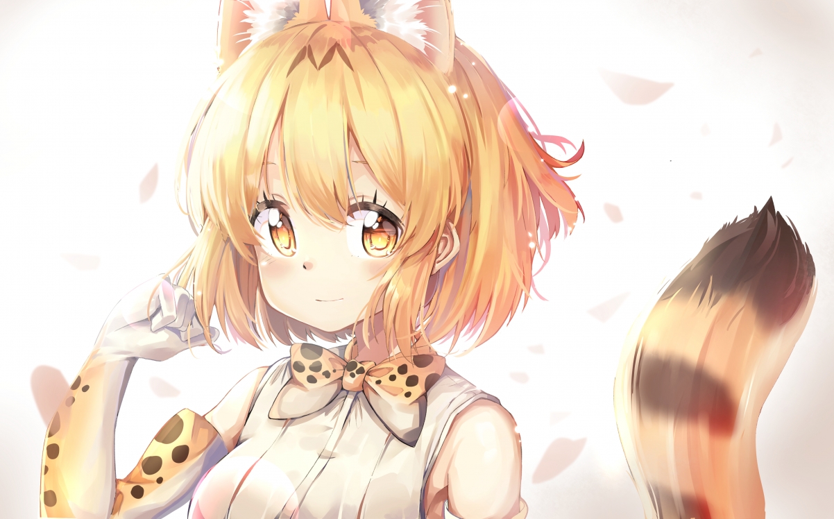 Girl animal ears yellow hair eyes