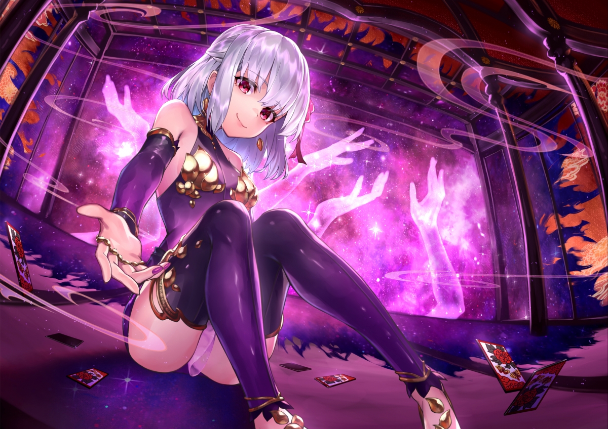 Fate Tokugawa Kaiten Labyrinth