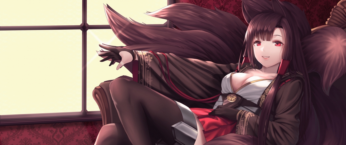 Fleet collection Akagi hairtail