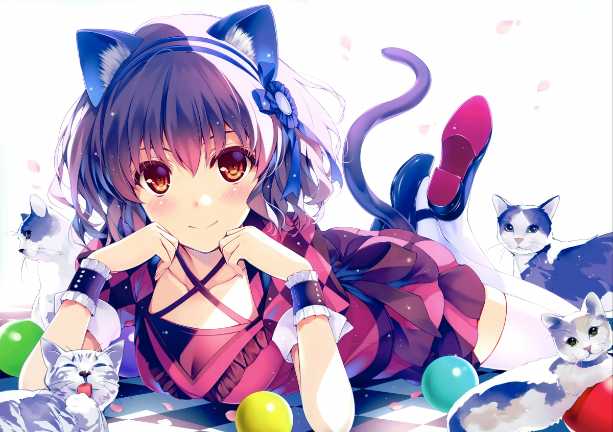 Animal ears brown eye cat girl