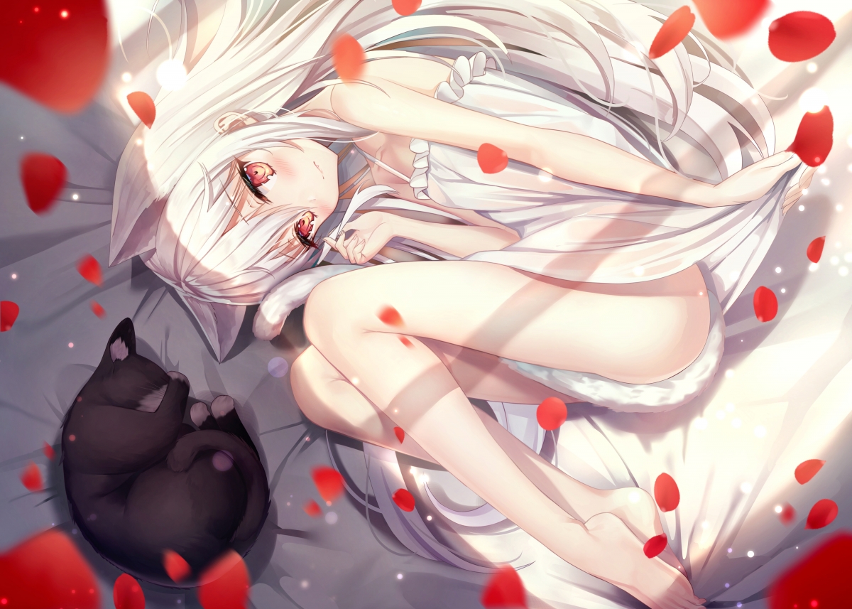 White long-haired girl black cat petals