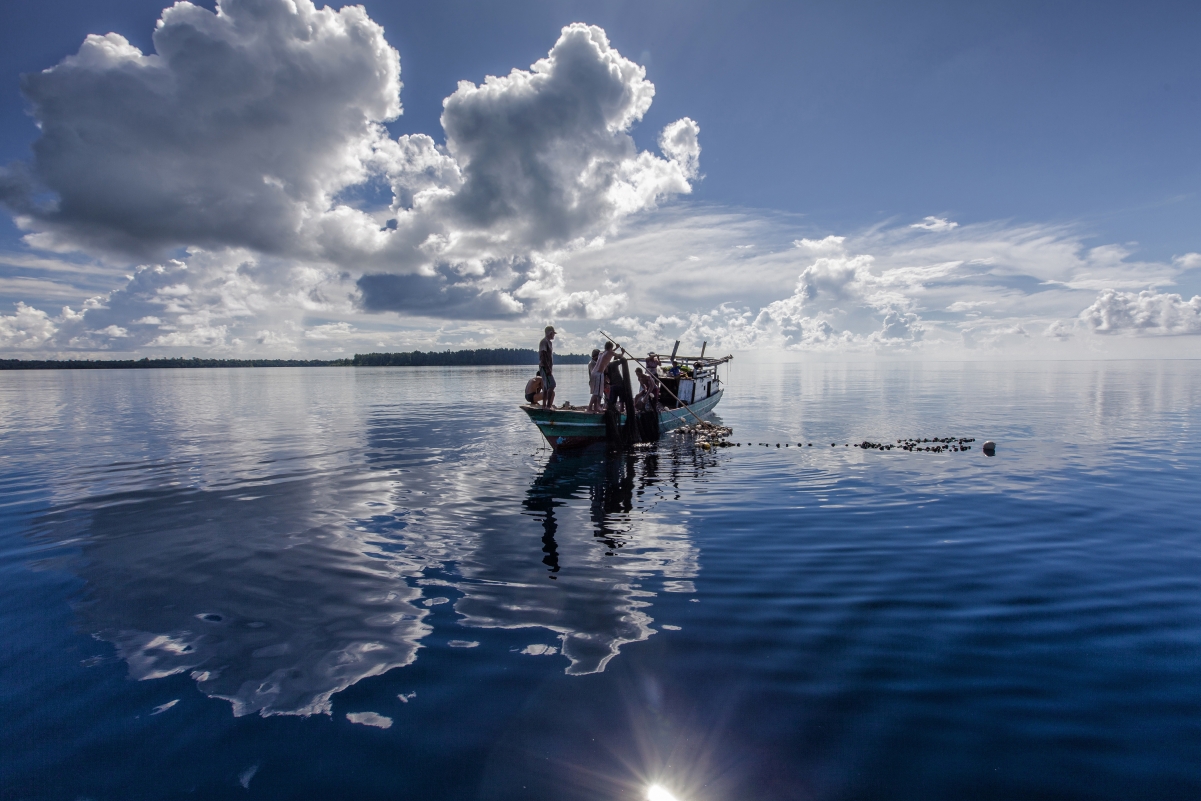 Fishing boat fishing Hamahera, Indonesia