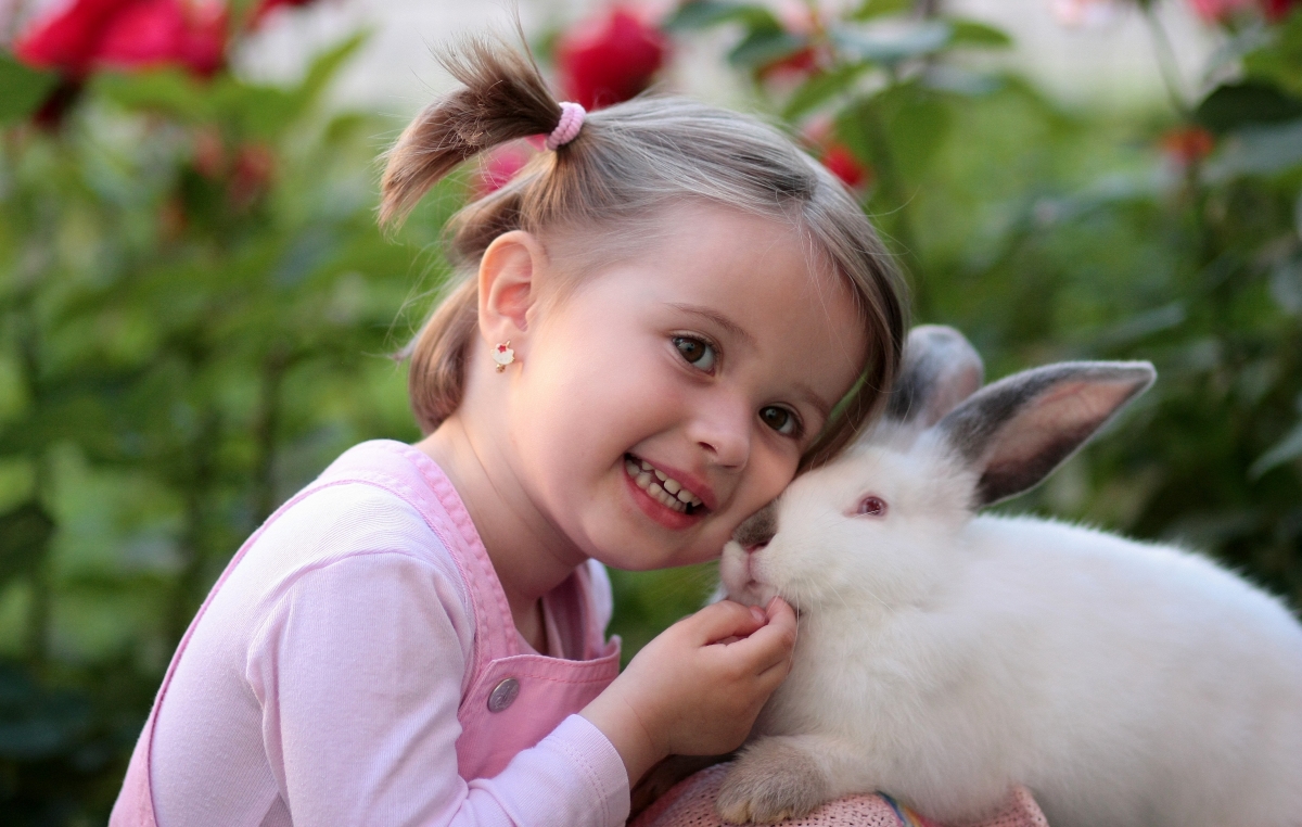 Little girl and bunny friendship 4k pictures