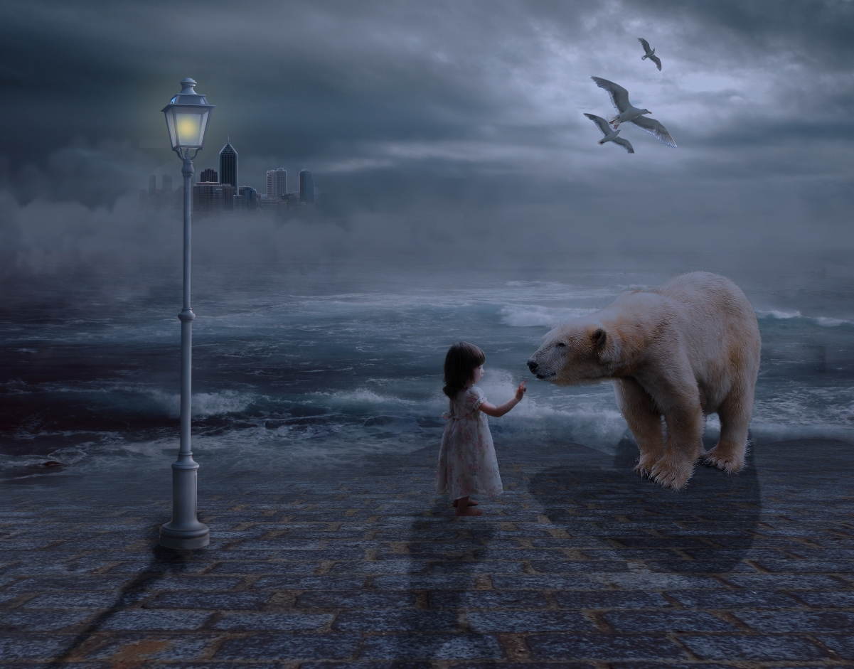 Girl bear sunset beautiful art 4