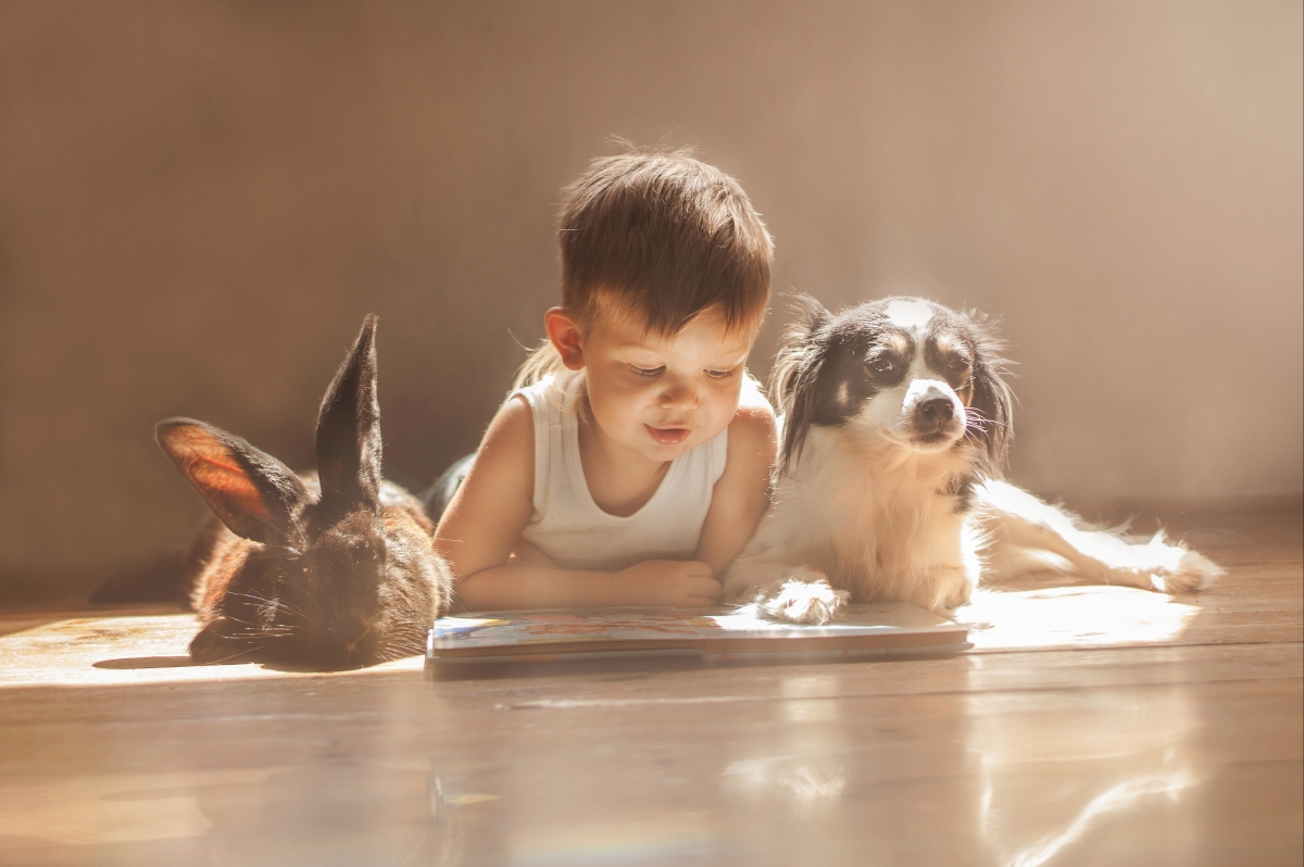 Boy Bunny Dog Friends 4K Pictures