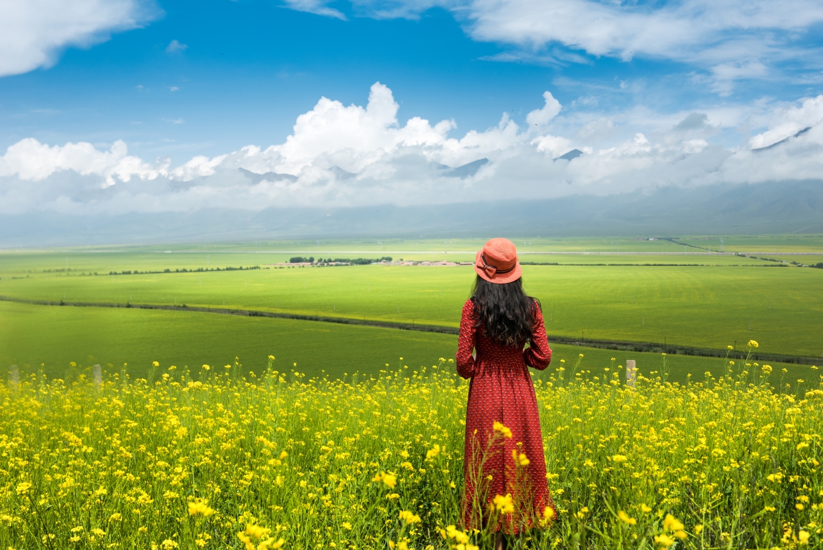Menyuan rape flower sea 4K landscape wallpaper